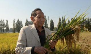 袁隆平妈妈 袁隆平妈妈
